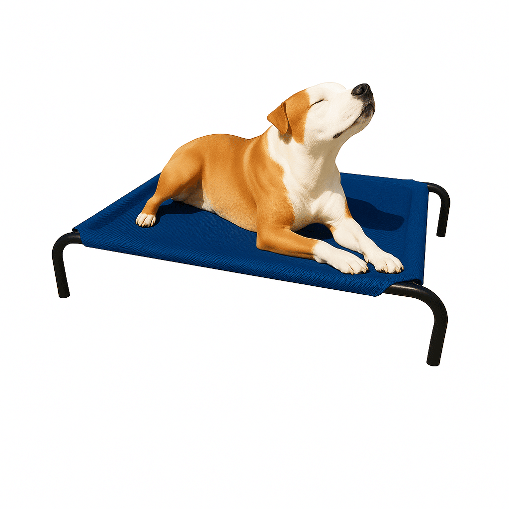 View of Elevated Dog Beds